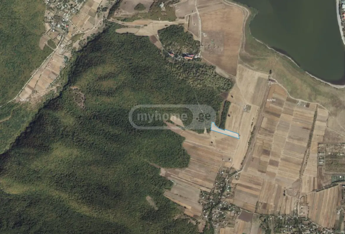 For Sale Sasoplo-Sameurneo Land Plot Dushetis Munitsipalitetshi view 1