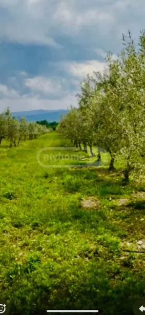 იყიდება მიწა / ნაკვეთი Qvarelshiში view 1