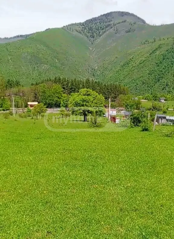 For Sale Ara Sasoplo-Sameurneo Land Plot Borjomis Munitsipalitetshi view 1