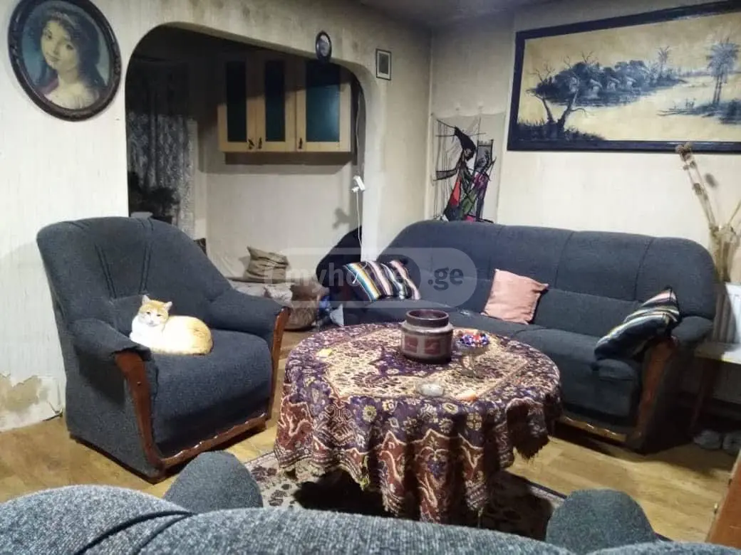 For Sale 8 Room Private House Mtskhetis Munitsipalitetshi view 22