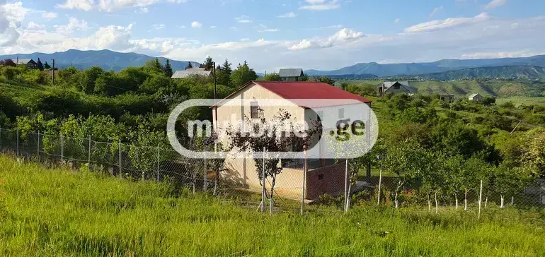 იყიდება 7-ოთახი აგარაკი Sagarejos Munitsipalitetshiში view 1