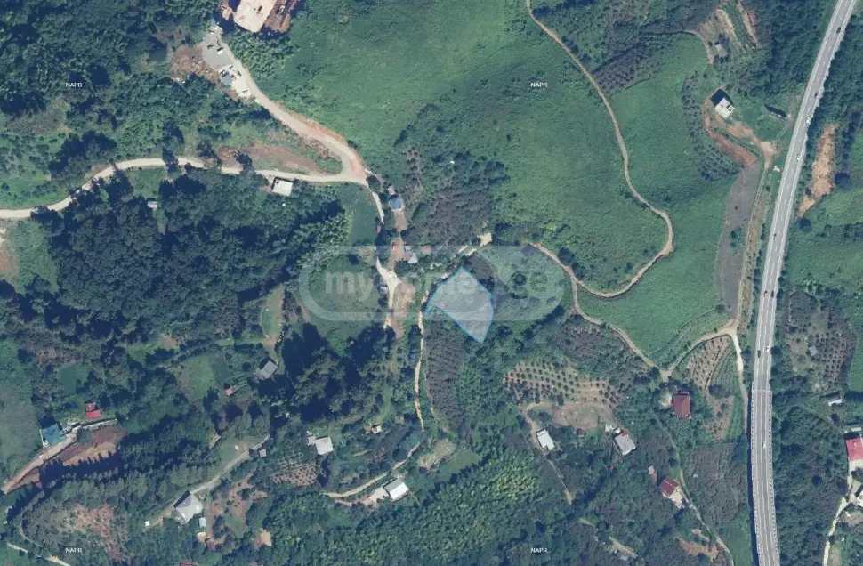 For Sale Sasoplo-Sameurneo Land Plot Kobuletis Munitsipalitetshi view 1