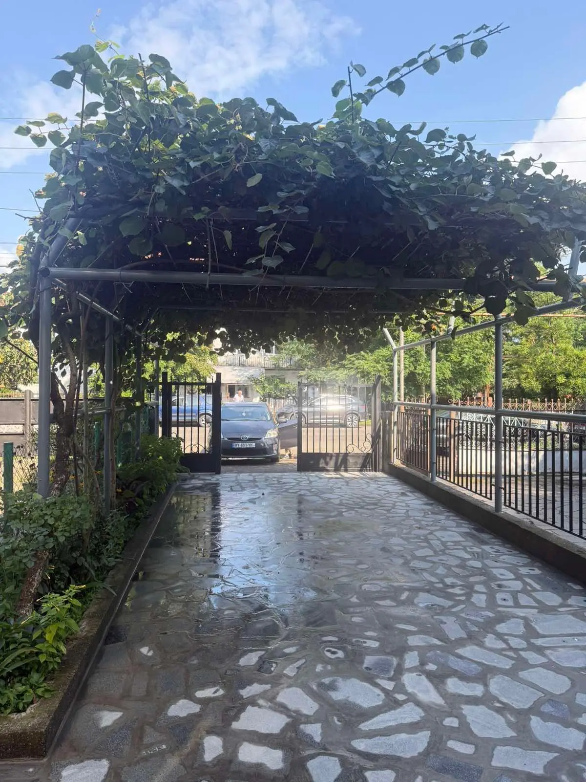 Daily Rent 10+ Room Private House Kobuletshi view 3