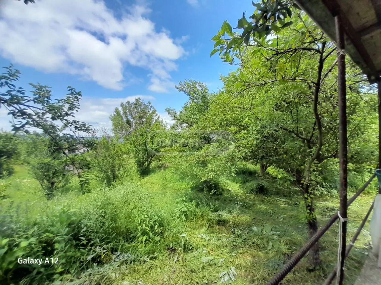 Продажа 3-комната Частный дом в Tianetis Munitsipalitetshi view 5