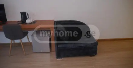 Daily Rent 1 Room Sastumro Bakurianshi, 3 of 12