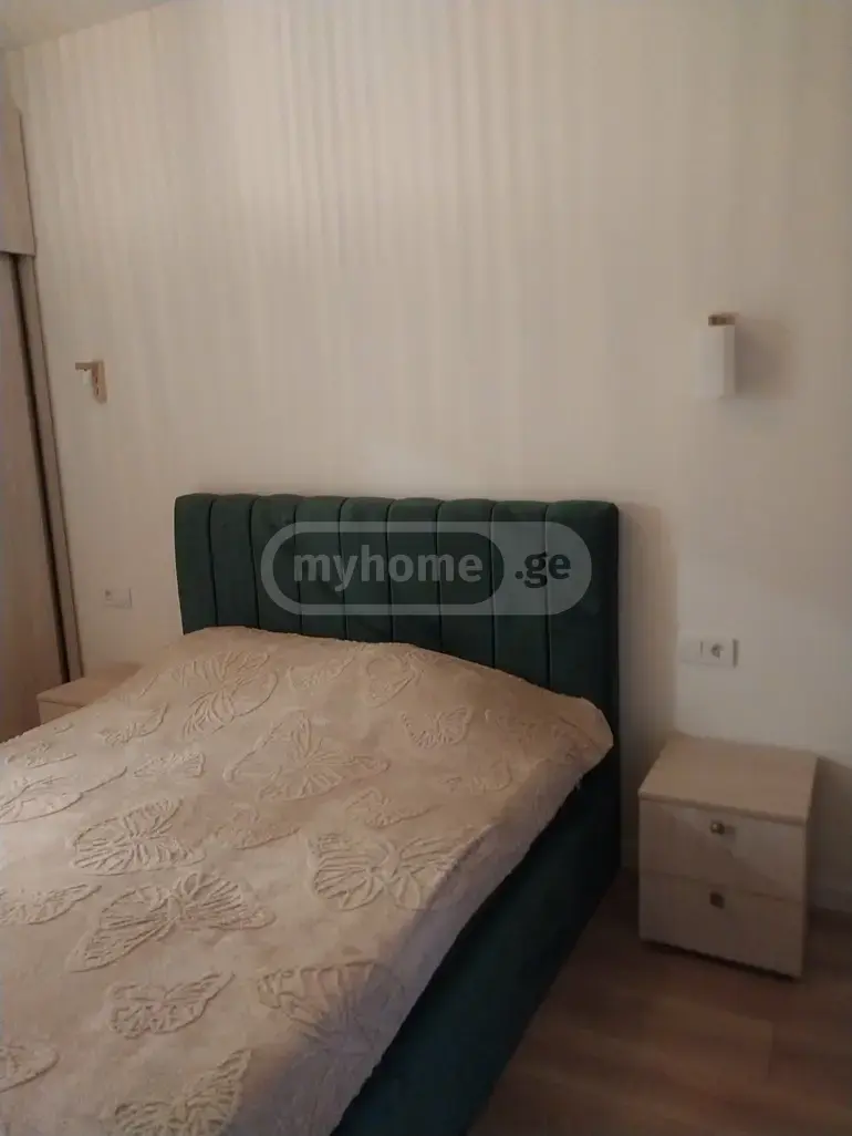 2 Room Flat For Rent. Varketili view 16