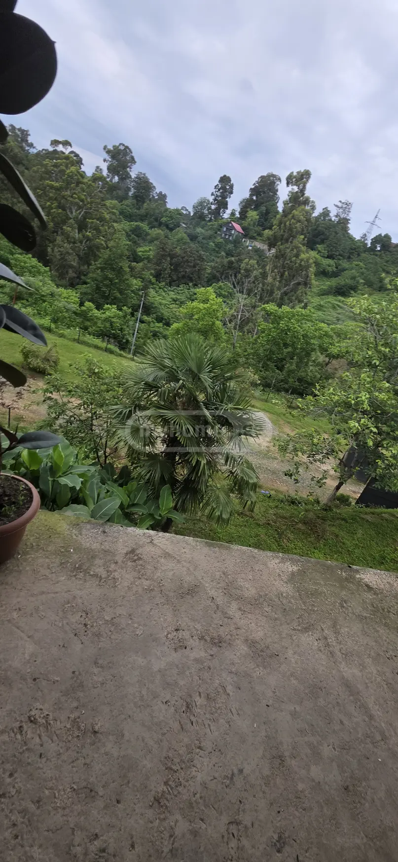 For Sale 2 Room Country House Kobuletis Munitsipalitetshi view 11