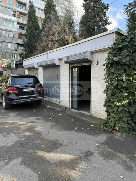 For Sale Universaluri Commercial Space Dighmis Masivshi view 6