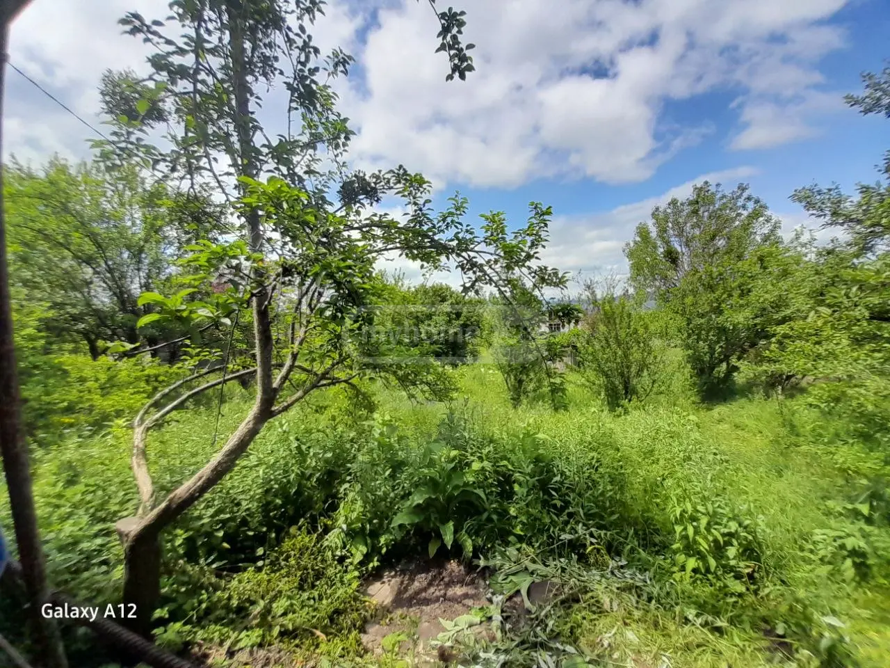 Продажа 3-комната Частный дом в Tianetis Munitsipalitetshi view 6