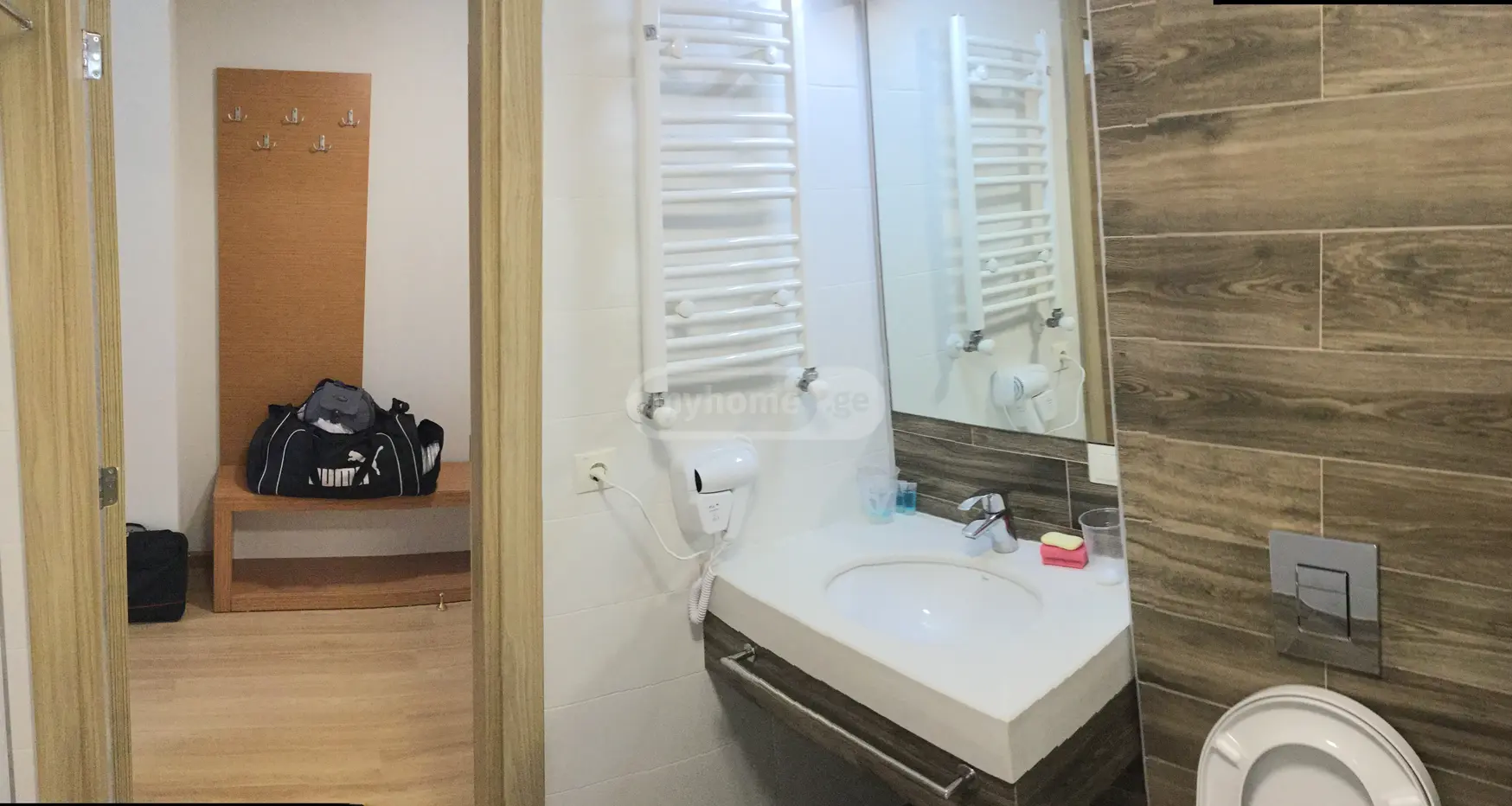 Daily Rent 1 Room Sastumro Bakurianshi, 9 of 12