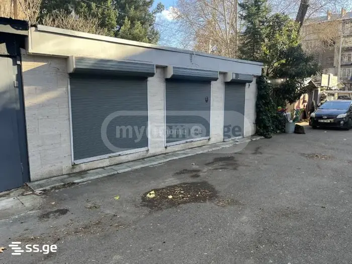 For Sale Universaluri Commercial Space Dighmis Masivshi view 2