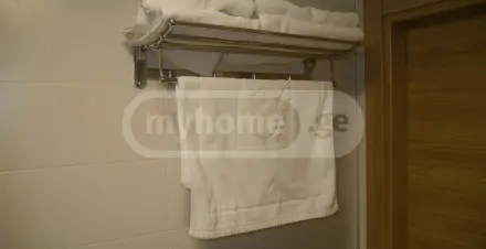 Daily Rent 1 Room Sastumro Bakurianshi, 8 of 12
