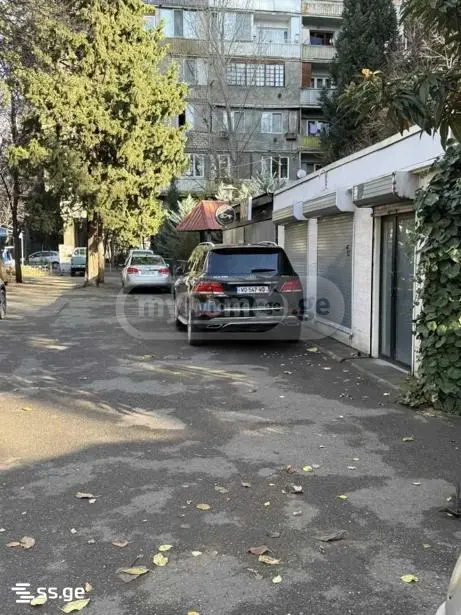 For Sale Universaluri Commercial Space Dighmis Masivshi view 3