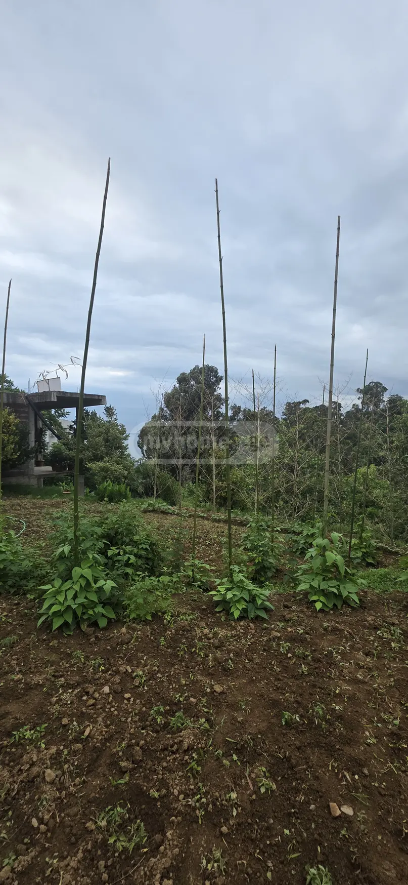 For Sale 2 Room Country House Kobuletis Munitsipalitetshi view 4