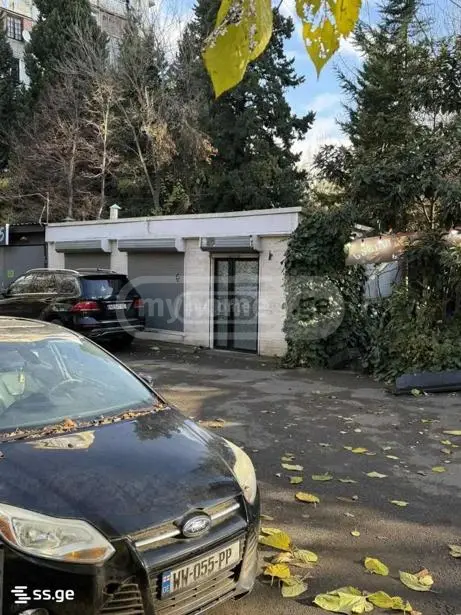 For Sale Universaluri Commercial Space Dighmis Masivshi view 15