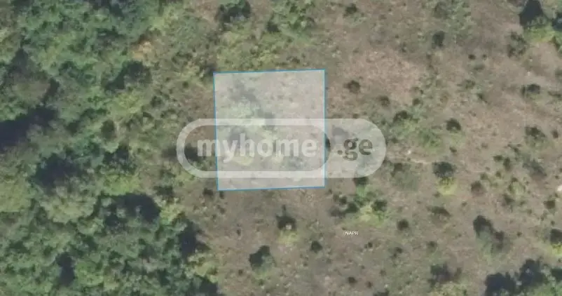 Продажа Земля / участок в Gurjaanshi view 1