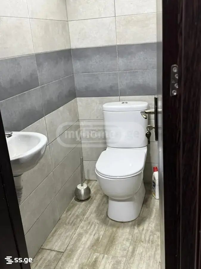 For Sale Universaluri Commercial Space Dighmis Masivshi view 10