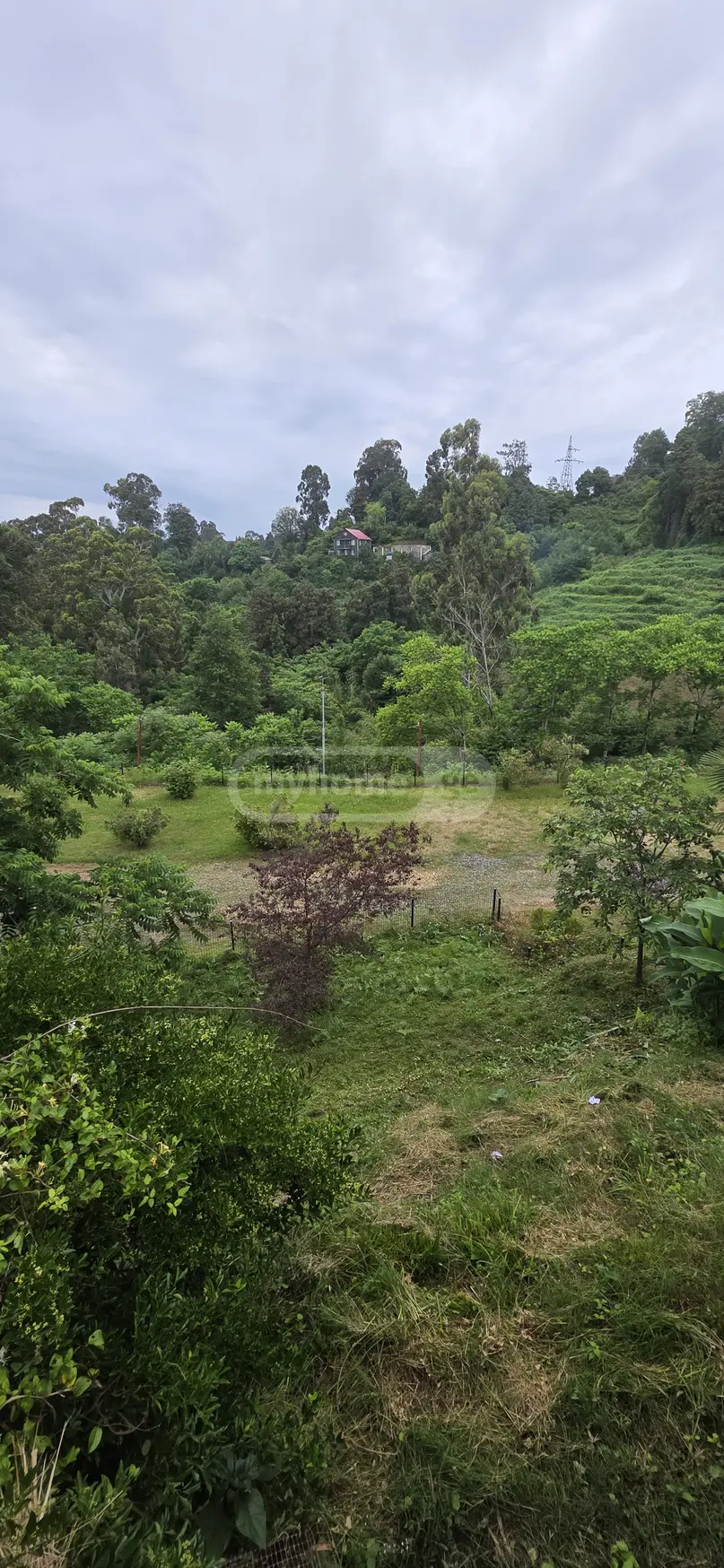 For Sale 2 Room Country House Kobuletis Munitsipalitetshi view 12