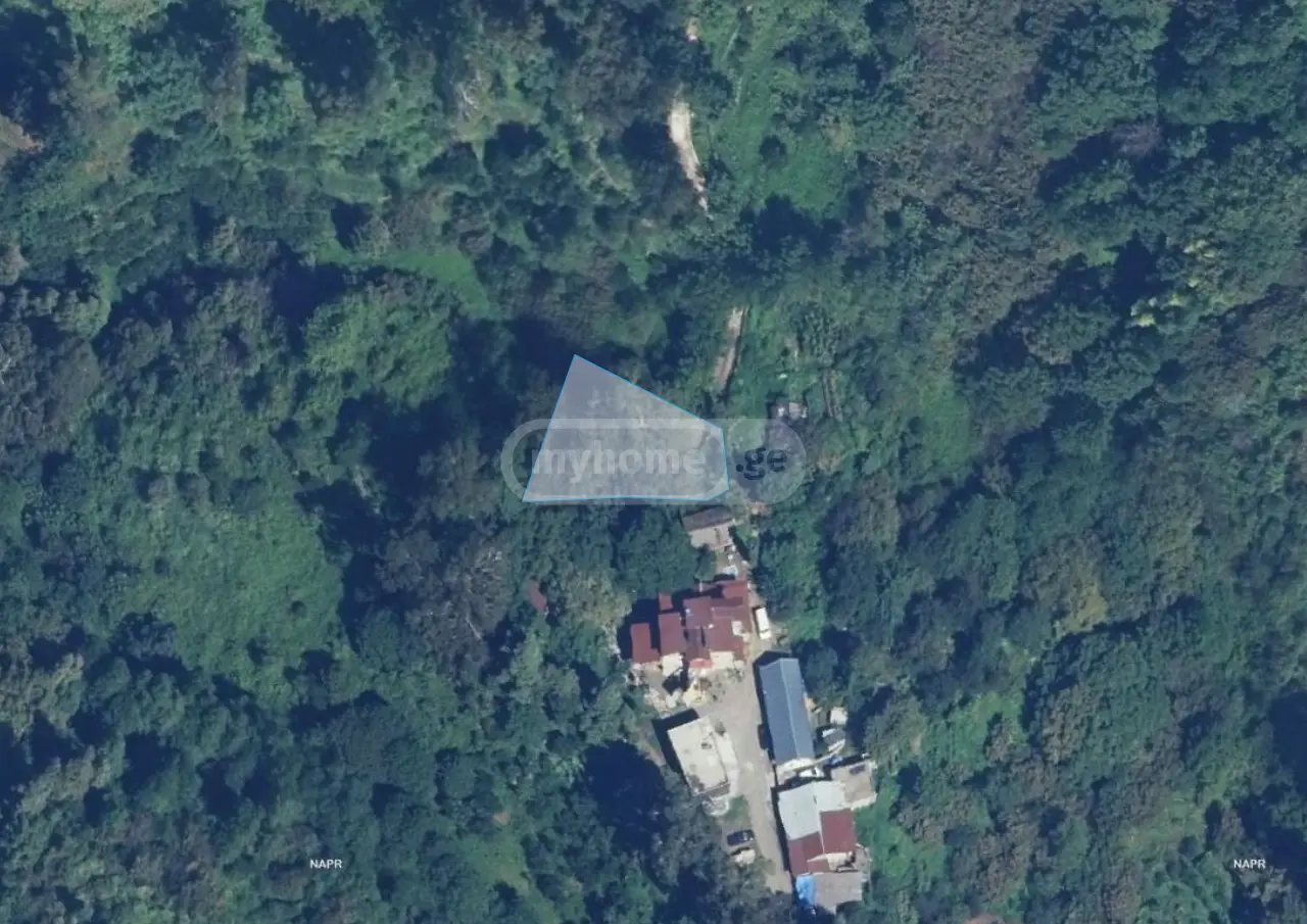For Sale Sasoplo-Sameurneo Land Plot Kobuletis Munitsipalitetshi view 1