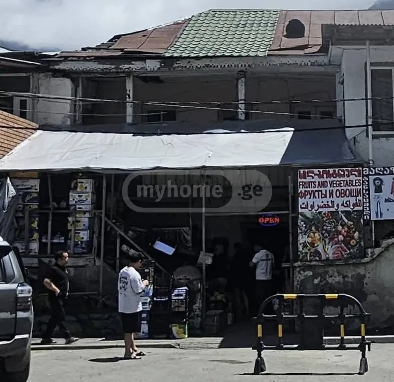 For Sale Universaluri Commercial Space Qazbegshi view 2