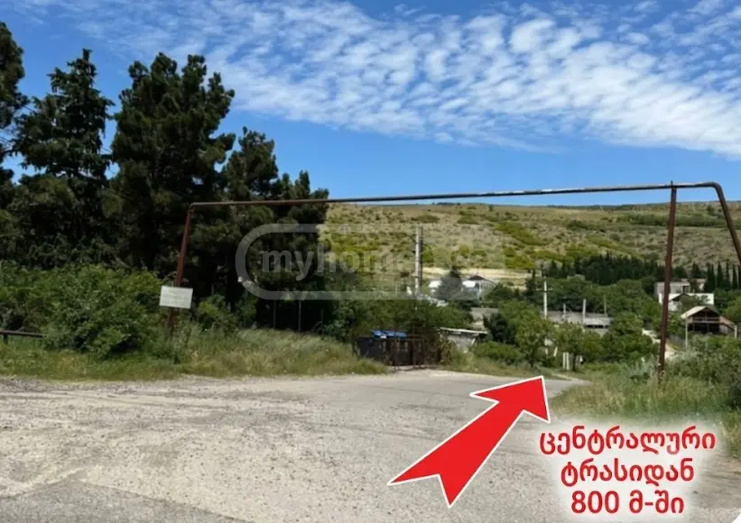 Land For Rent. Lisi Lake view 32