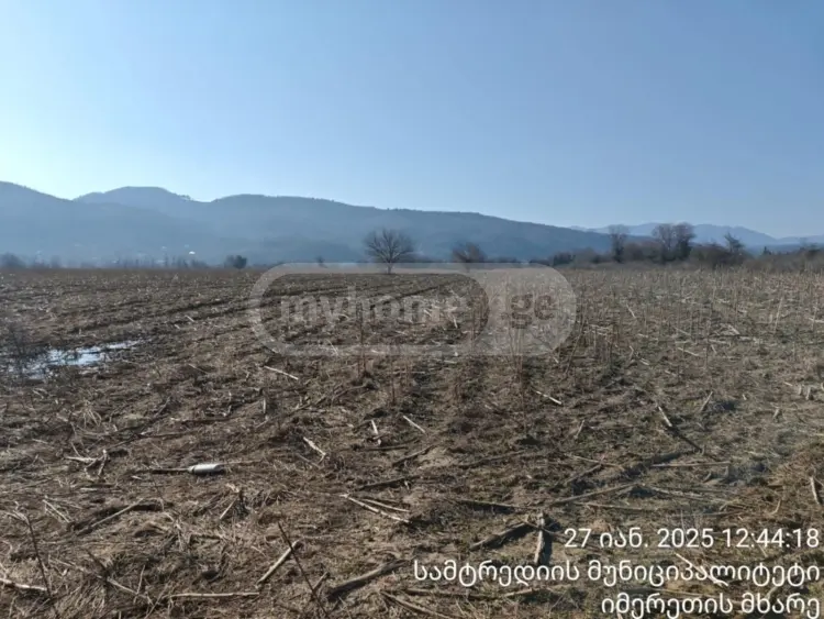 Продажа Земля / участок в Samtrediashi view 2