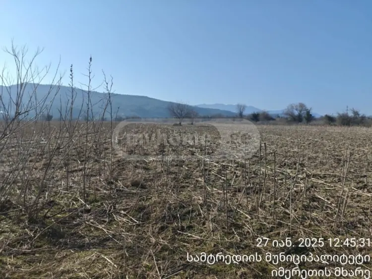 Продажа Земля / участок в Samtrediashi view 3
