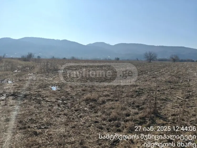 Продажа Земля / участок в Samtrediashi view 1