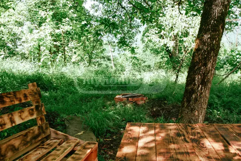 Daily Rent 5 Room Private House Ambrolaurshi view 4