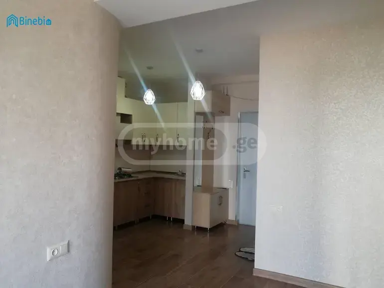 2 Room Flat For Rent. Varketili view 13