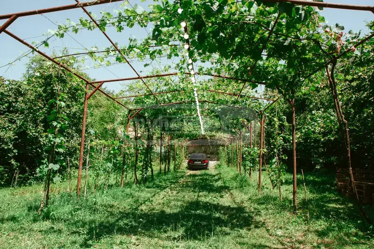Daily Rent 5 Room Private House Ambrolaurshi view 3