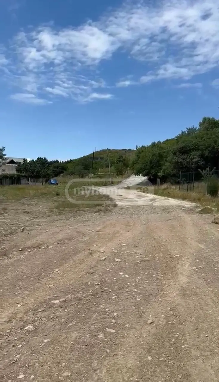 Land For Rent. Lisi Lake view 39