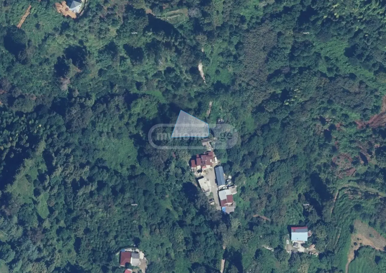 For Sale Sasoplo-Sameurneo Land Plot Kobuletis Munitsipalitetshi view 2