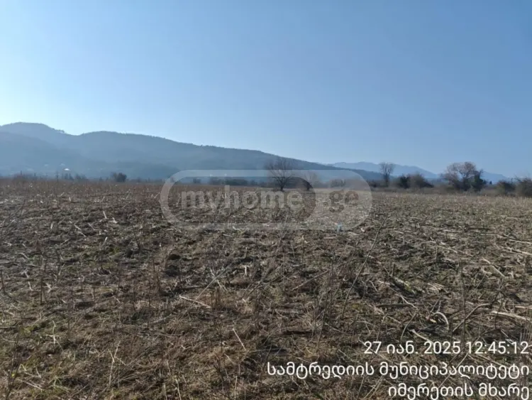 Продажа Земля / участок в Samtrediashi view 5