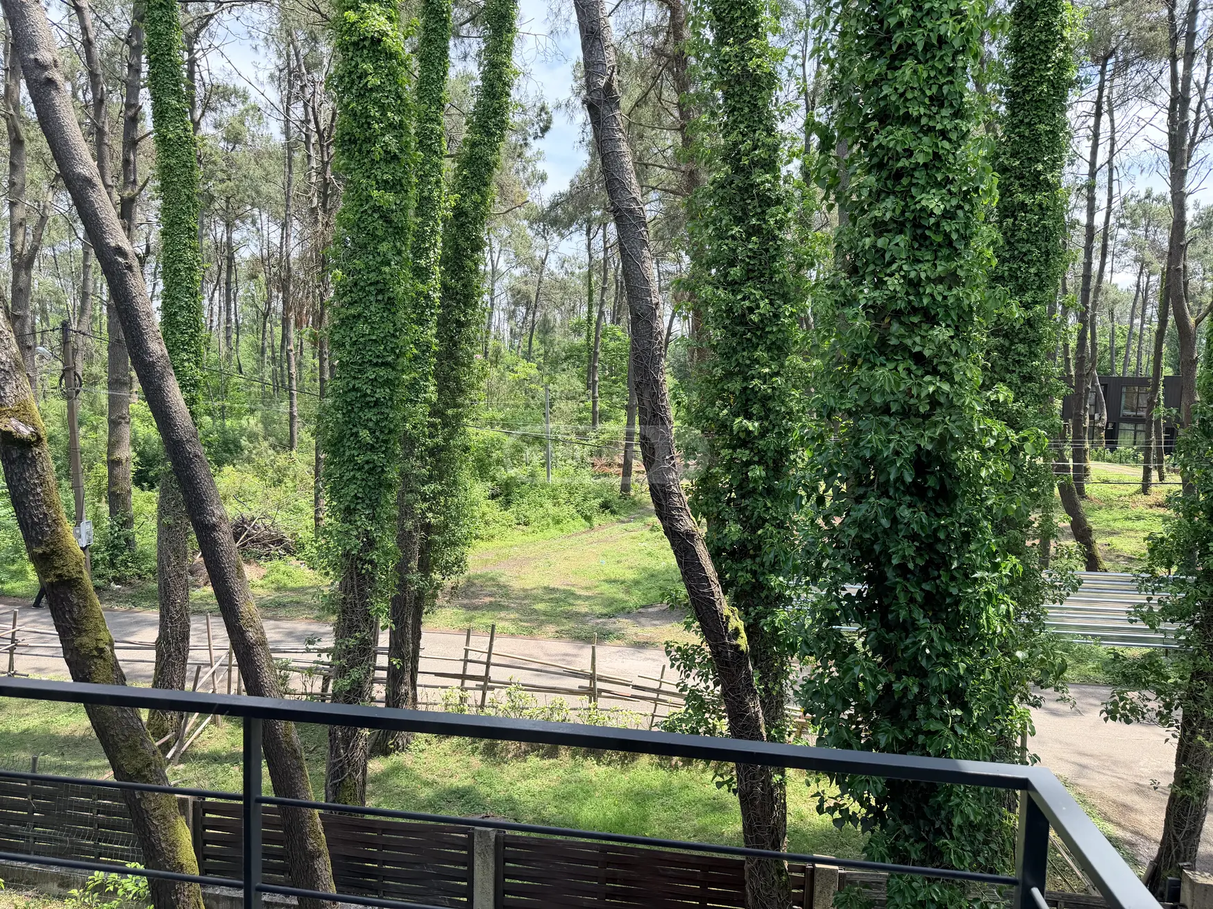 Daily Rent 4 Room Private House Ozurgetis Munitsipalitetshi view 3