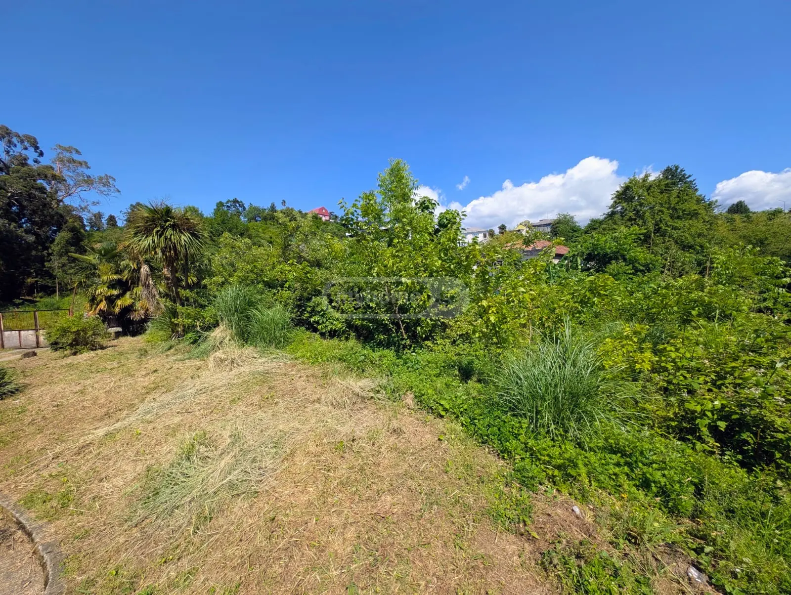 For Sale Sasoplo-Sameurneo Land Plot In Batumi view 2