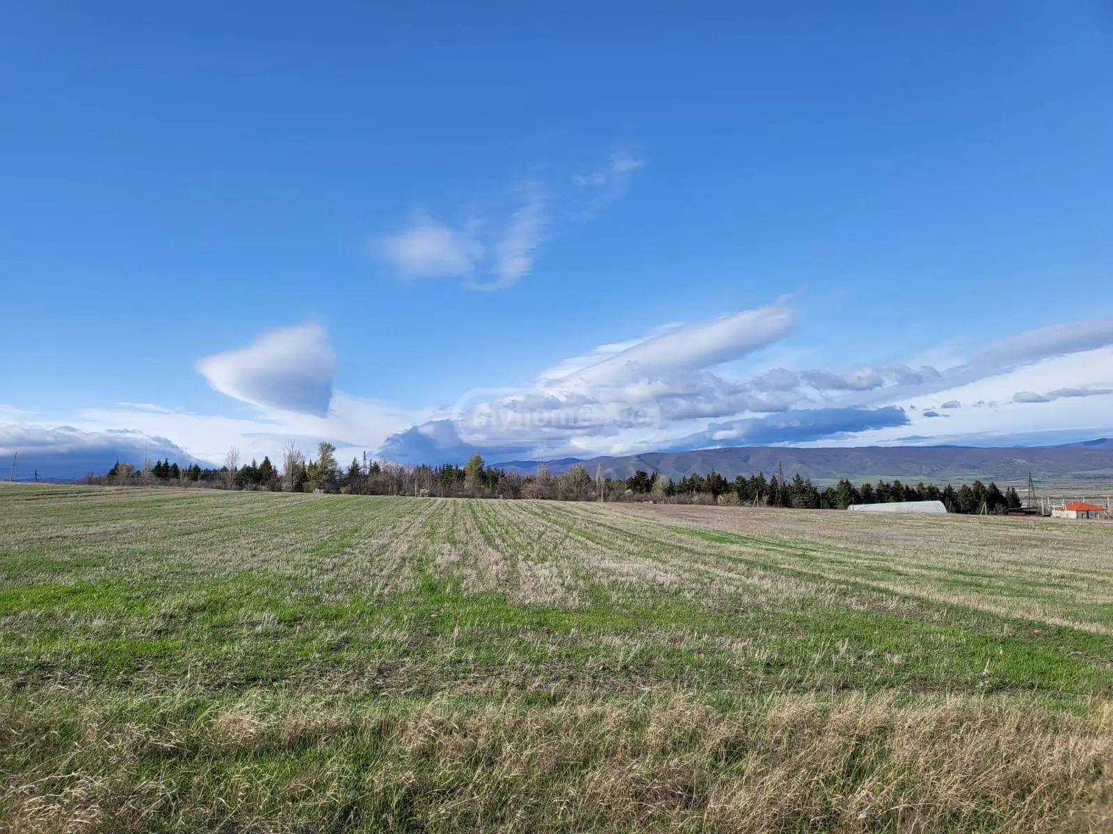 For Sale Ara Sasoplo-Sameurneo Land Plot Kaspis Munitsipalitetshi view 2