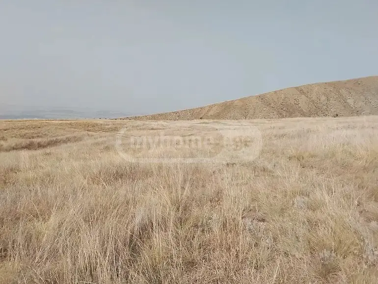 იყიდება მიწა / ნაკვეთი Sighnaghshiში view 1