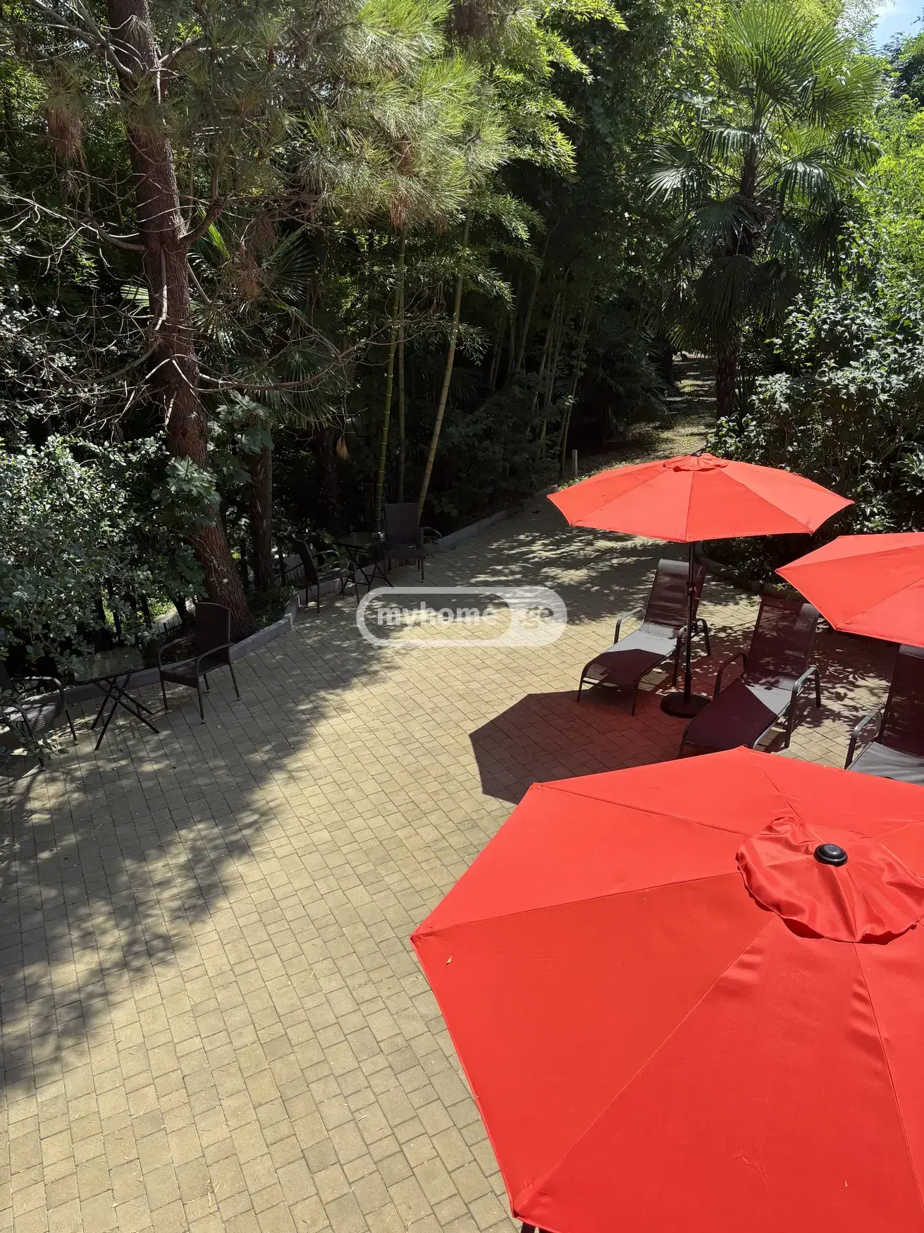 Daily Rent 10+ Room Private House In Batumi view 15