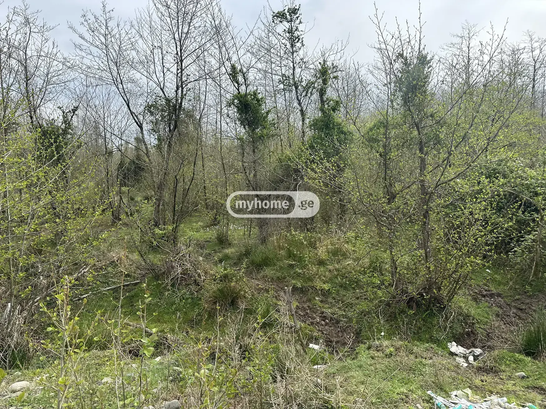 For Sale Sasoplo-Sameurneo Land Plot Ozurgetis Munitsipalitetshi view 2
