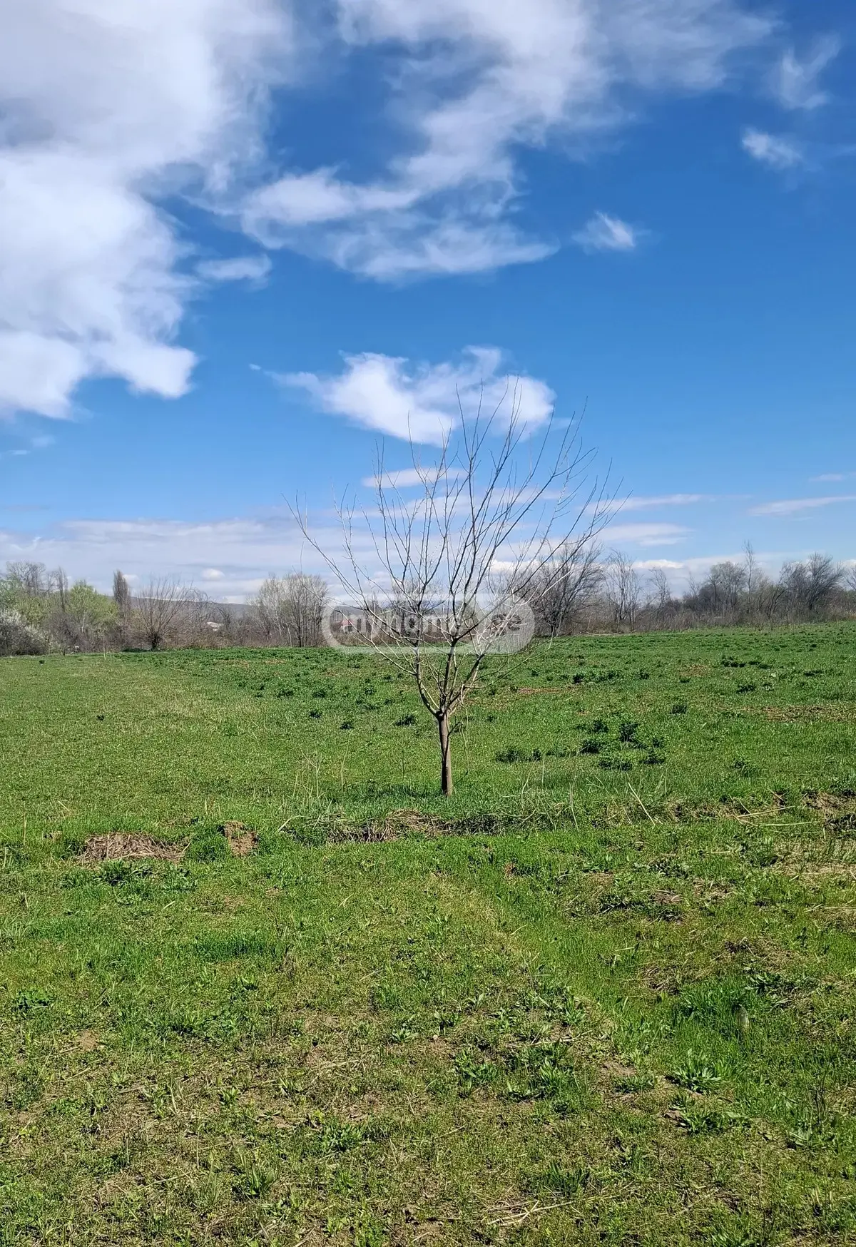 For Sale Sasoplo-Sameurneo Land Plot Marneulshi view 2