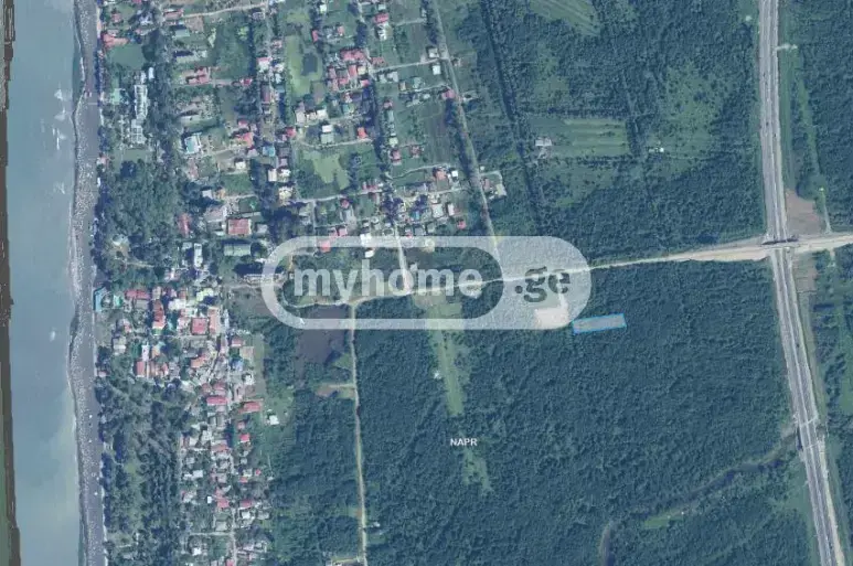 For Sale Sasoplo-Sameurneo Land Plot Ozurgetis Munitsipalitetshi view 1
