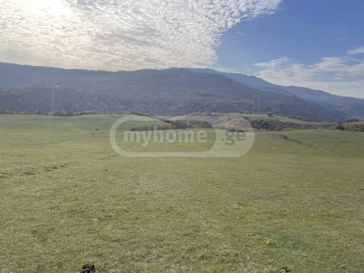 For Sale Sainvestitsio Land Plot Tetritsqaroshi view 6