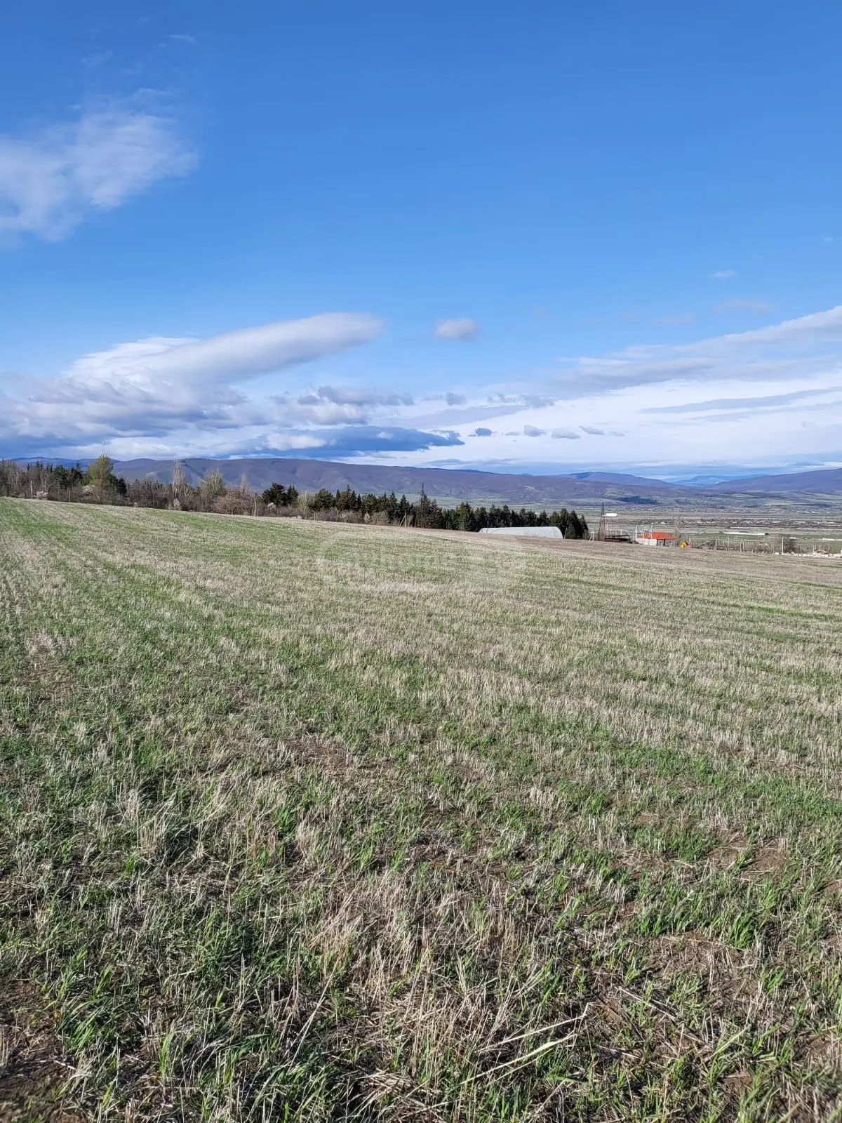 For Sale Ara Sasoplo-Sameurneo Land Plot Kaspis Munitsipalitetshi view 3