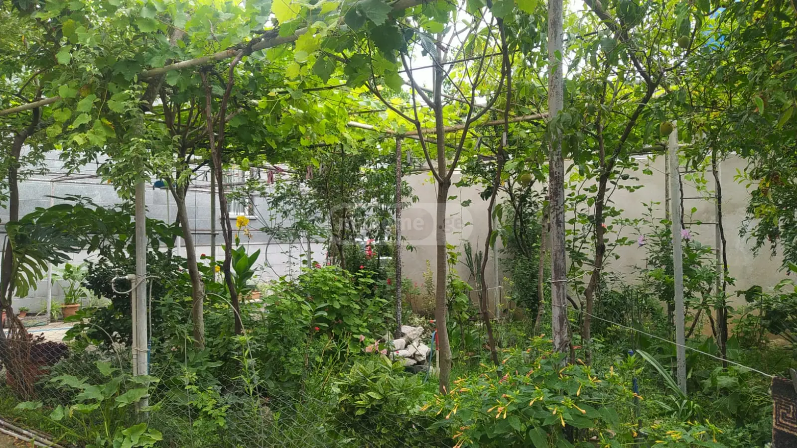 For Sale 6 Room Private House Kutaisshi view 1