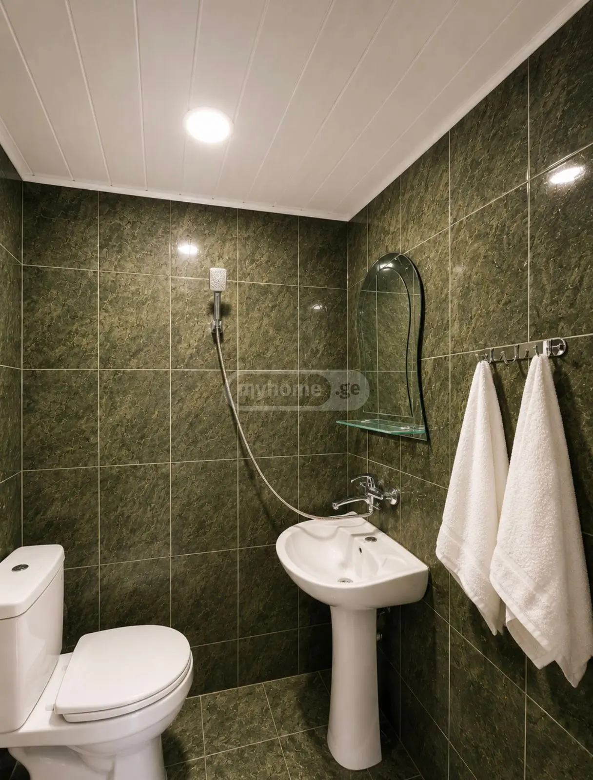 Daily Rent 10+ Room Sastumro Kobuletshi view 5