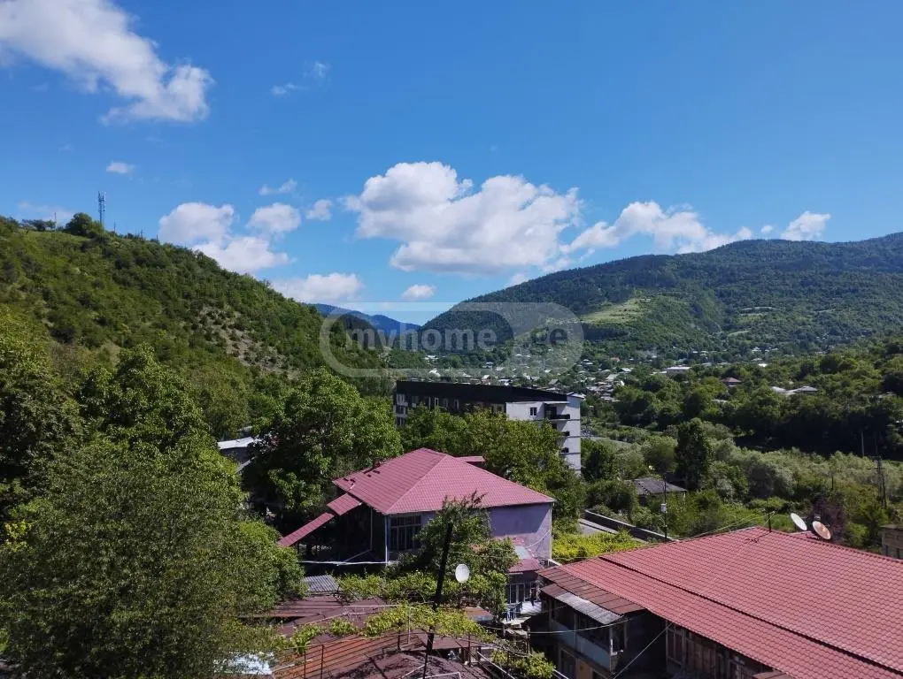 For Sale 3 Room Apartment Borjomshi view 8
