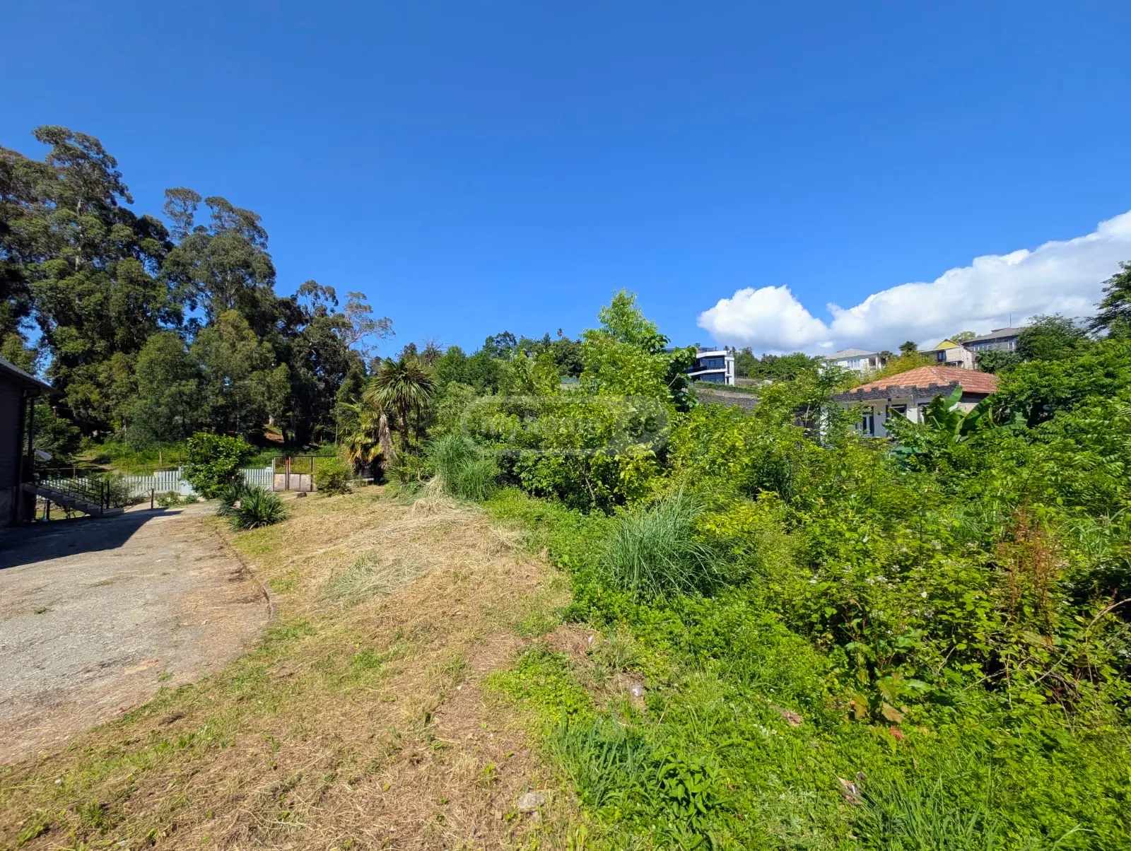 For Sale Sasoplo-Sameurneo Land Plot In Batumi view 1