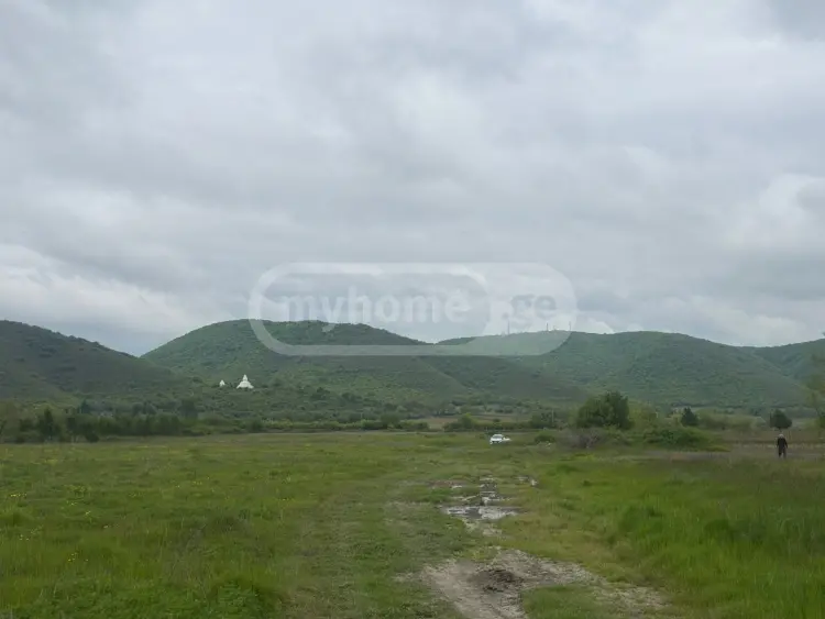 For Sale Sasoplo-Sameurneo Land Plot Lagodekhshi view 3