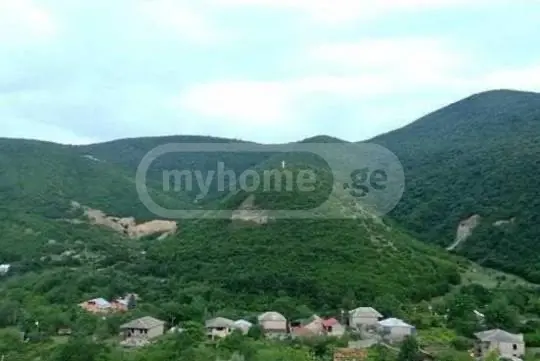 ქირავდება 5-ოთახი აგარაკი Mtskhetis Munitsipalitetshiში view 12